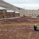 Image for article titled 10 striking geographical locales abandoned by humans (and reclaimed by animals)